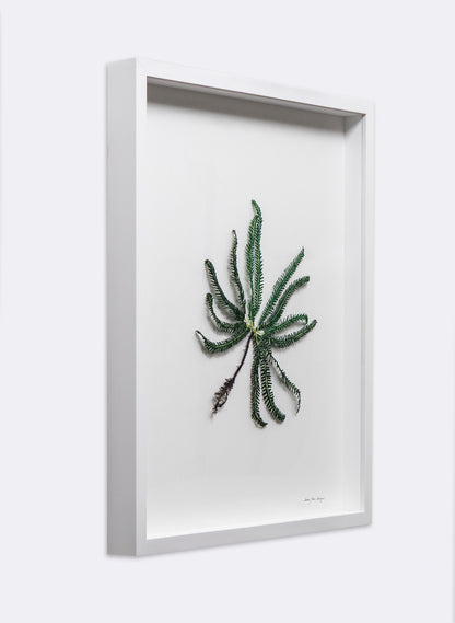 Umbrella Fern - 3D Embroidery