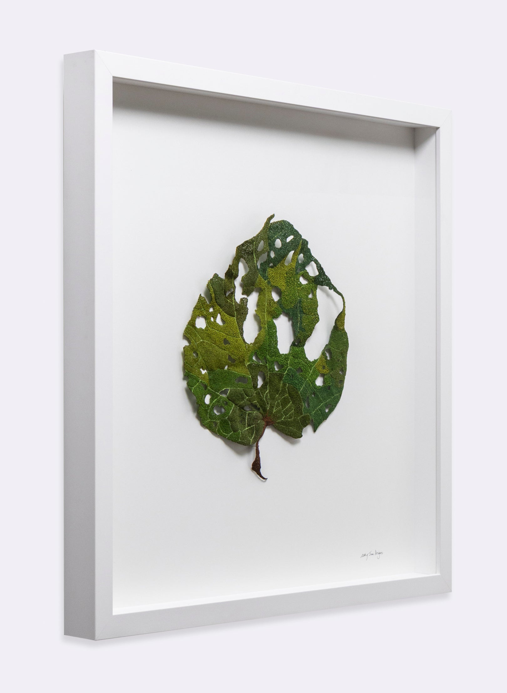 Giant Kawakawa Leaf  - 3D Embroidery