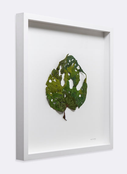 Giant Kawakawa Leaf  - 3D Embroidery