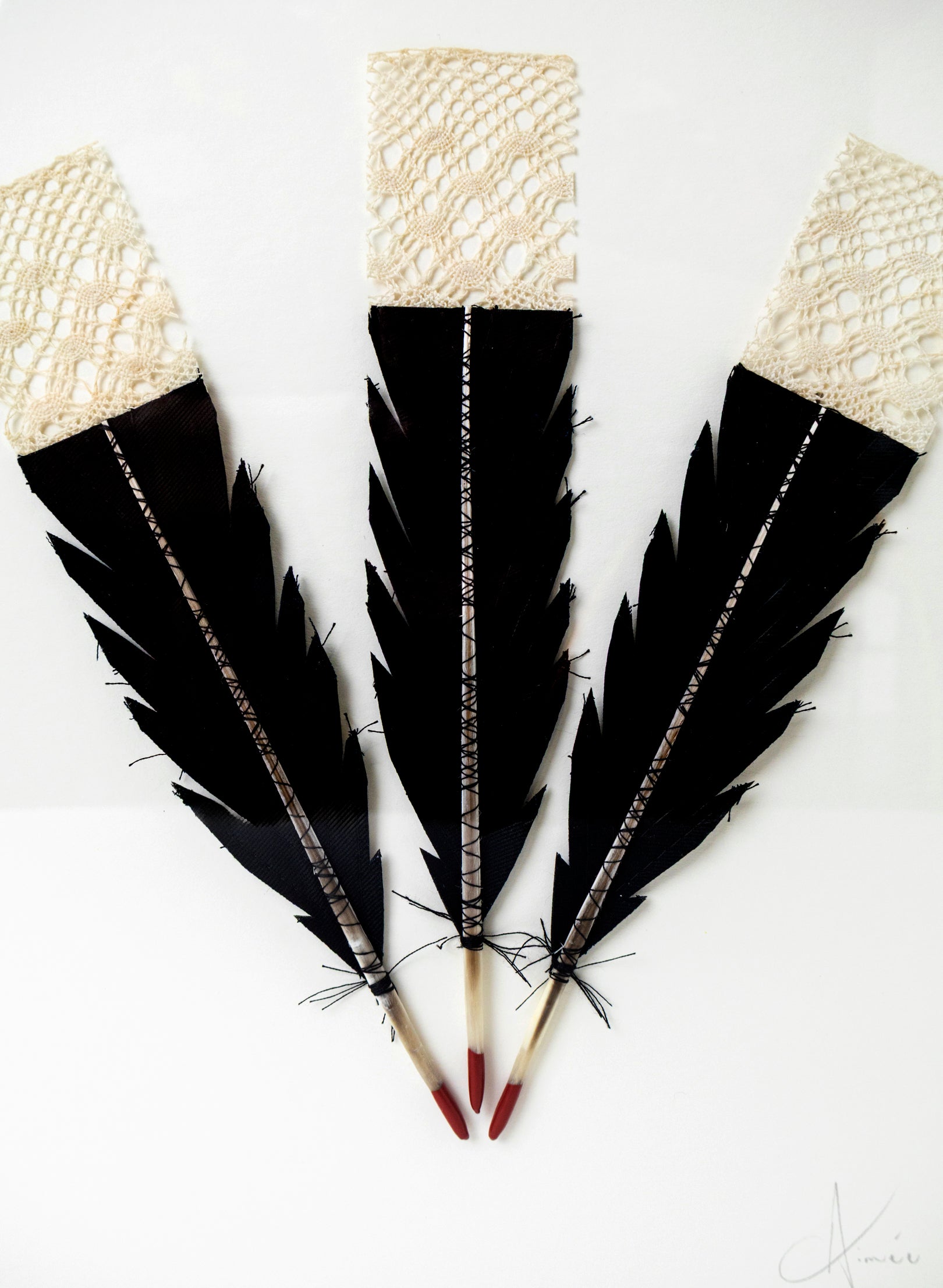 3  Huia Feather Framed