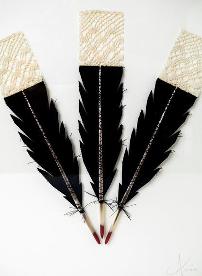 3  Huia Feather Framed