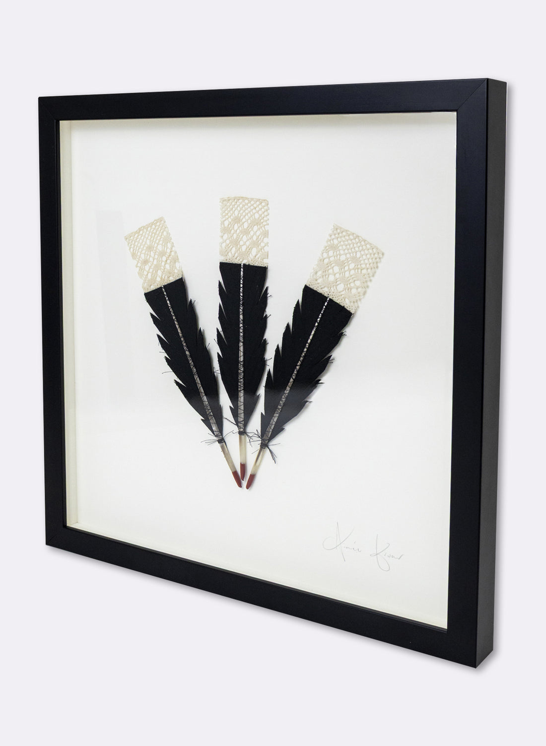 3  Huia Feather Framed