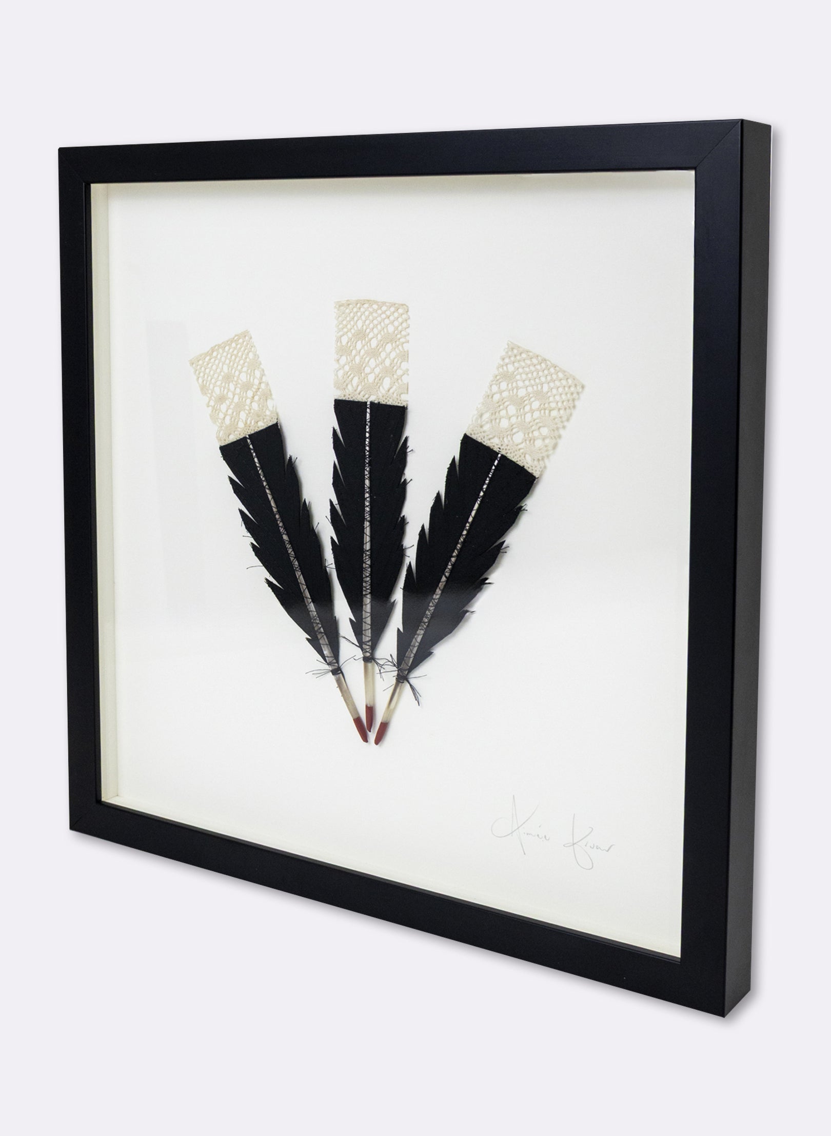 3  Huia Feather Framed