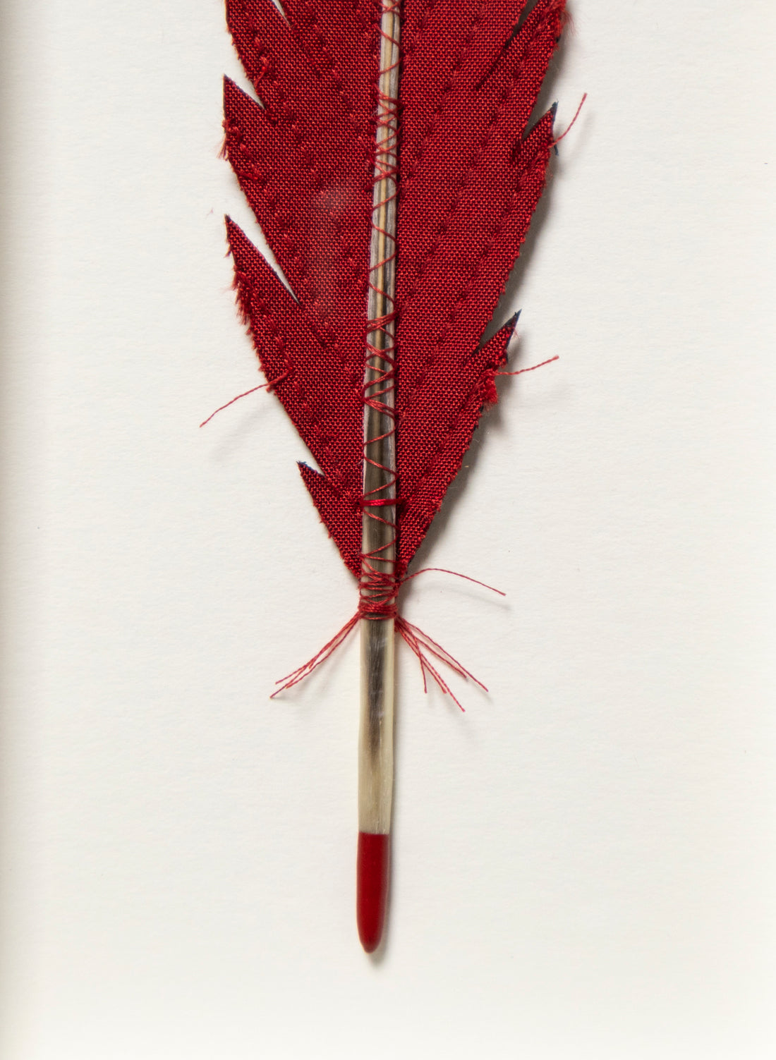 Single Huia Feather Framed