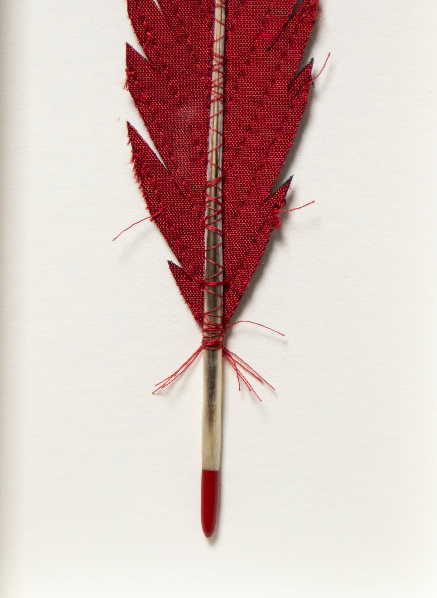 Single Huia Feather Framed