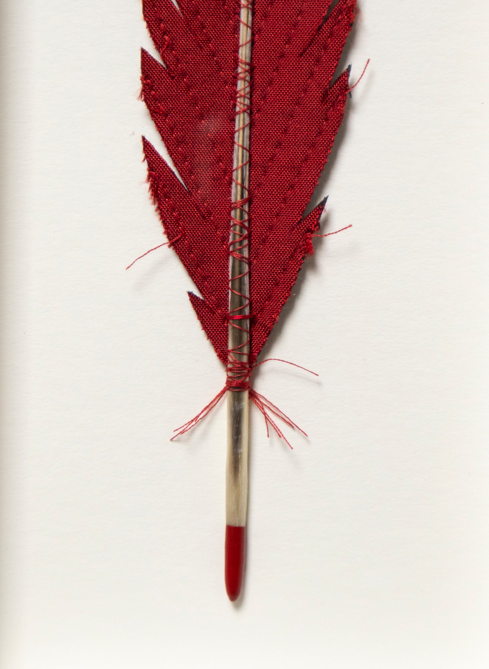 Single Huia Feather Framed