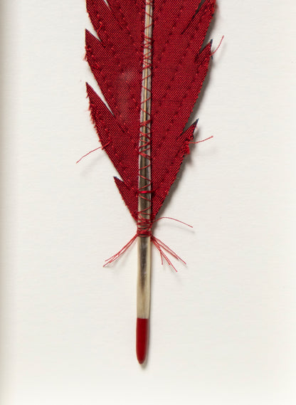 Single Huia Feather Framed