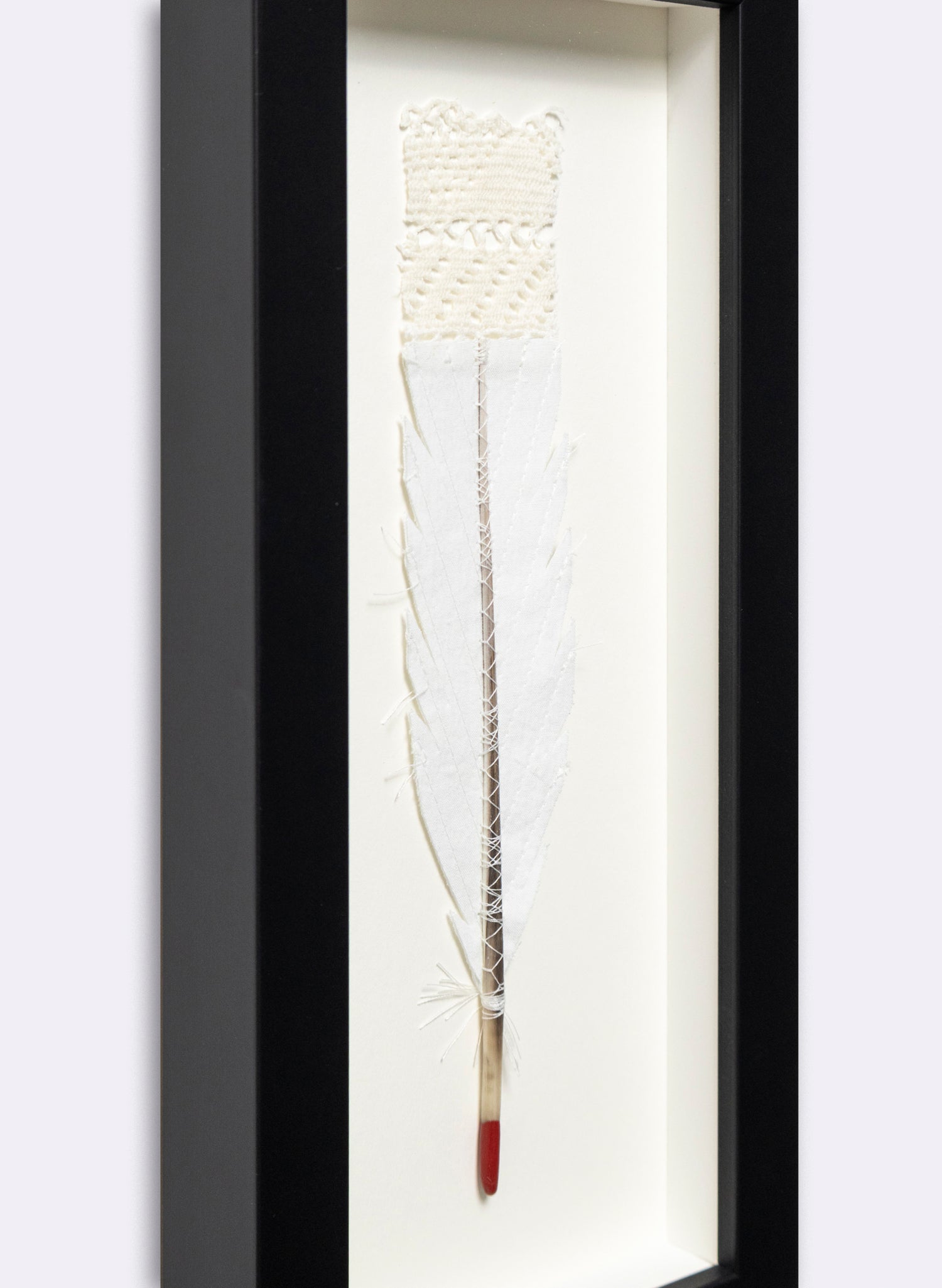 Single Huia Feather Framed