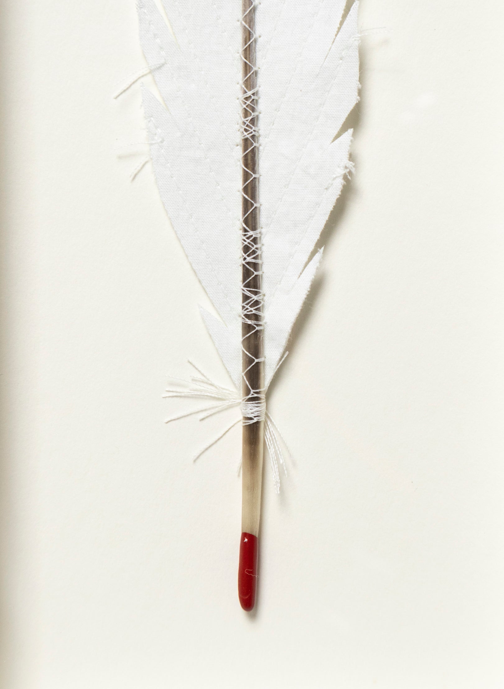 Single Huia Feather Framed