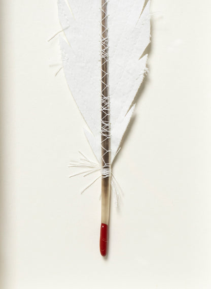 Single Huia Feather Framed