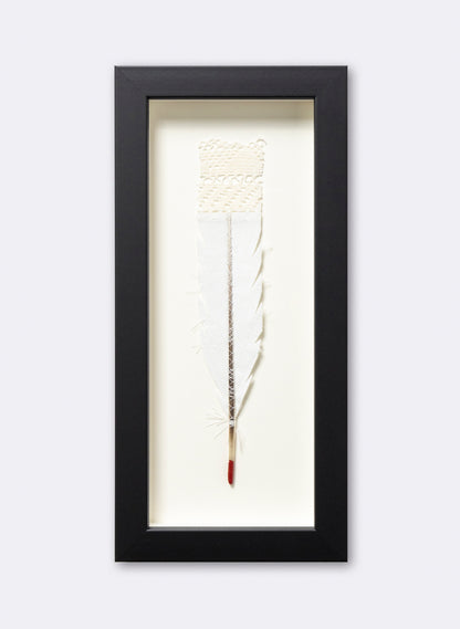 Single Huia Feather Framed