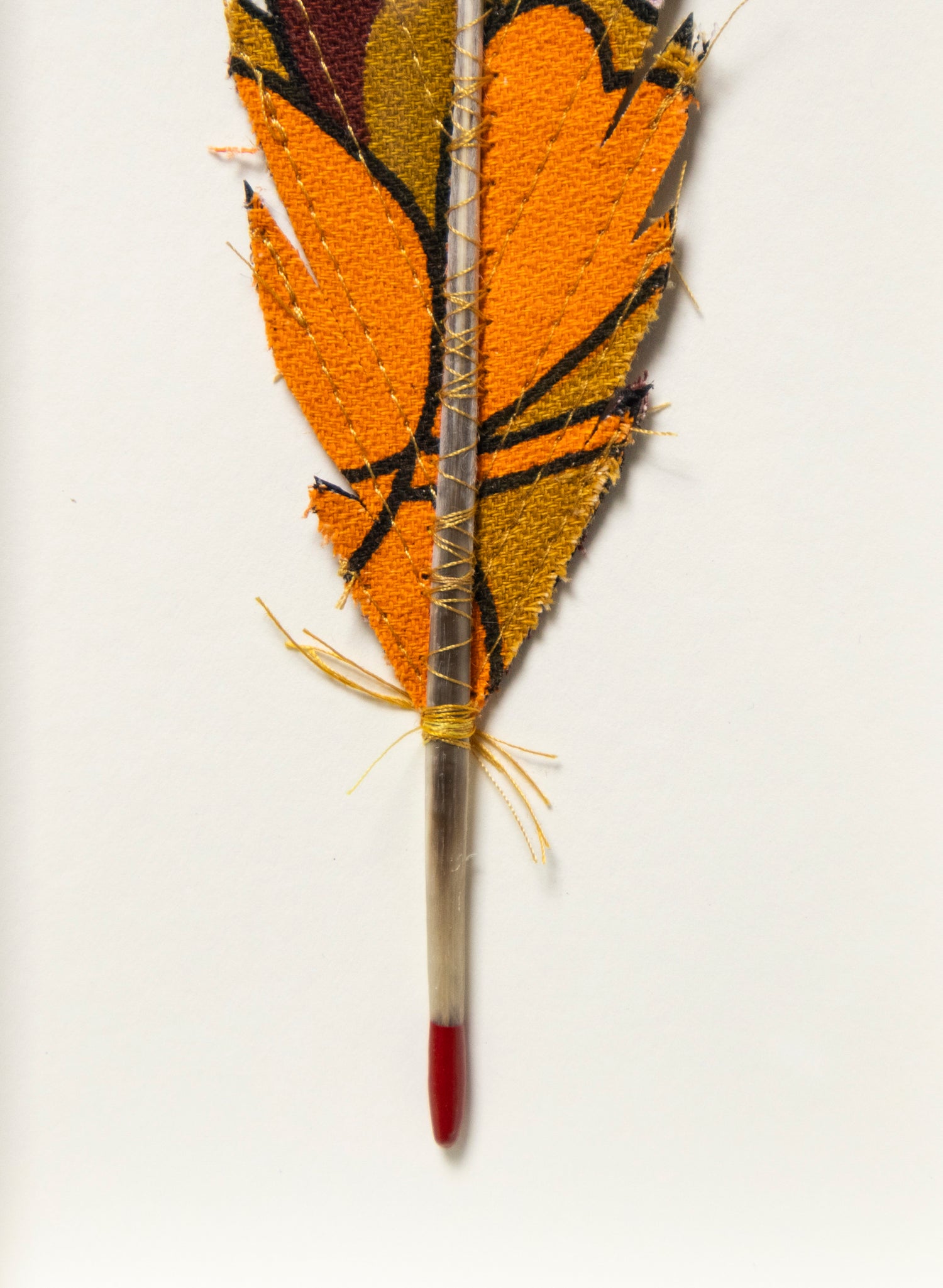 Single Huia Feather Framed