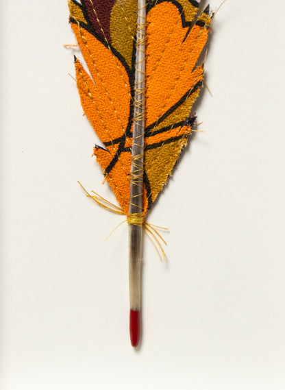 Single Huia Feather Framed