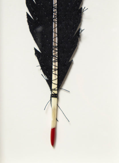 Single Huia Feather Framed