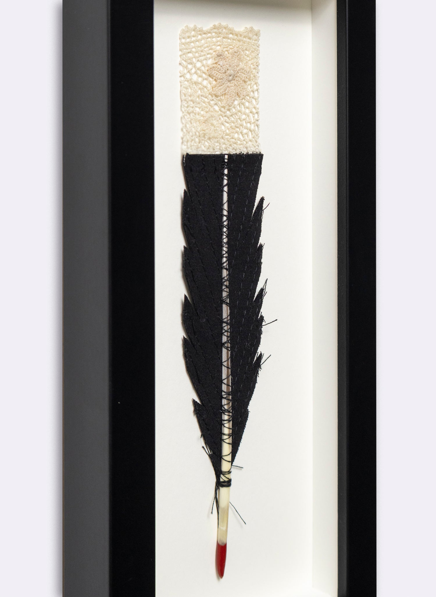 Single Huia Feather Framed