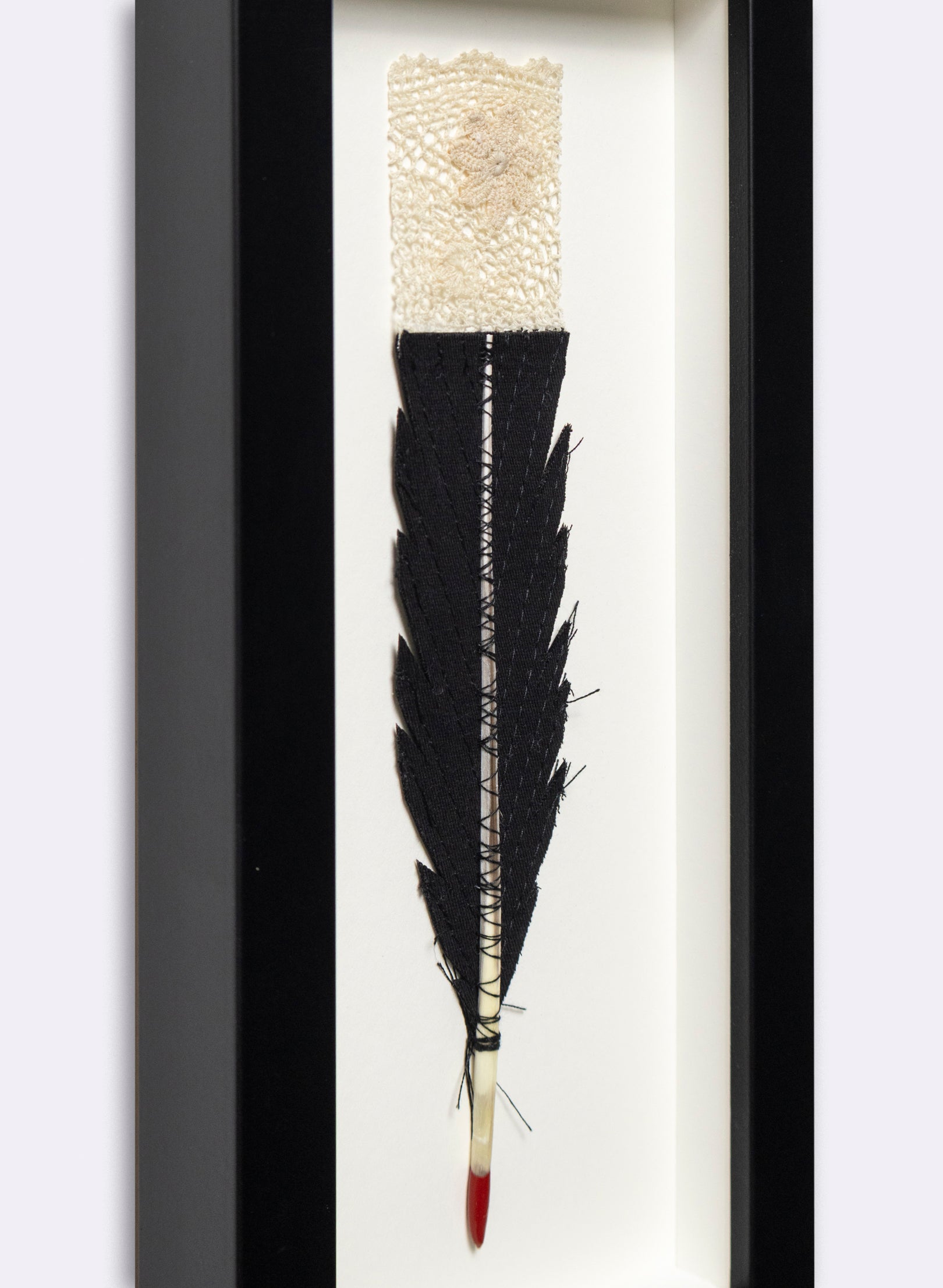 Single Huia Feather Framed