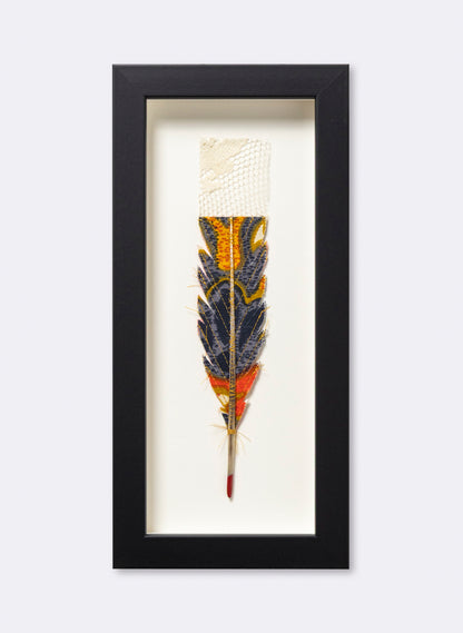 Single Huia Feather Framed