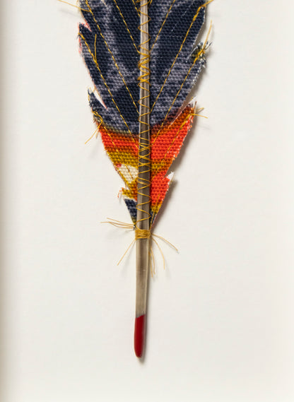 Single Huia Feather Framed