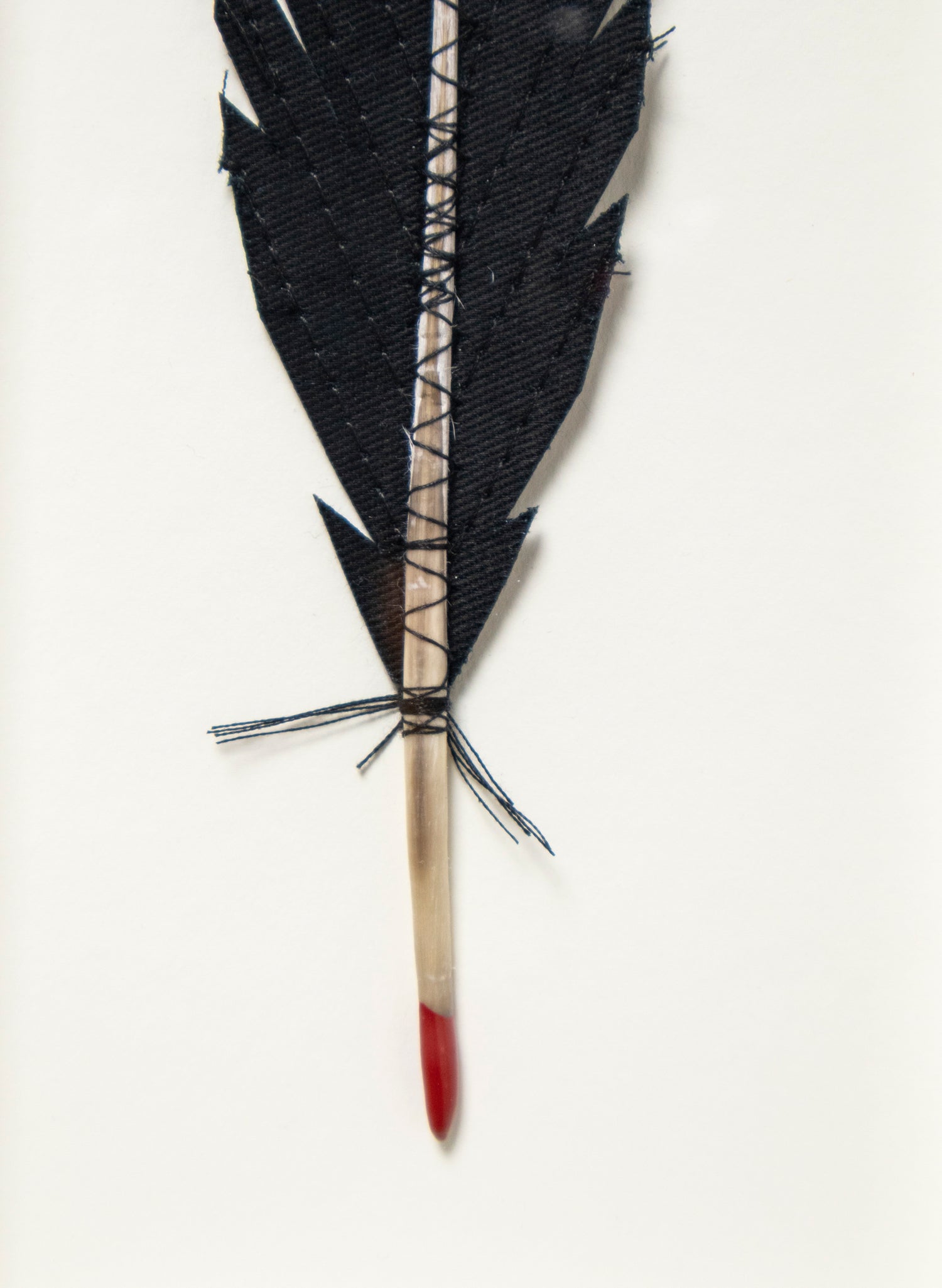 Single Huia Feather Framed