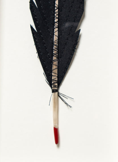 Single Huia Feather Framed