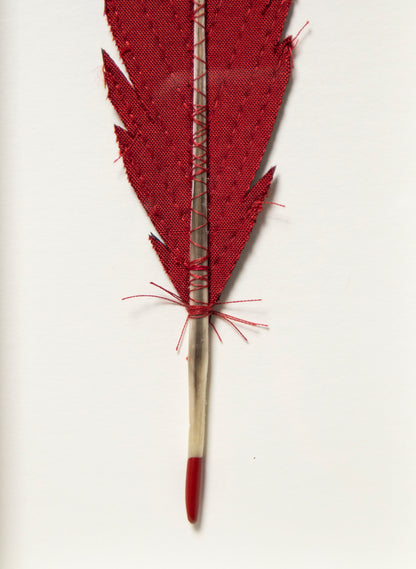 Single Huia Feather Framed