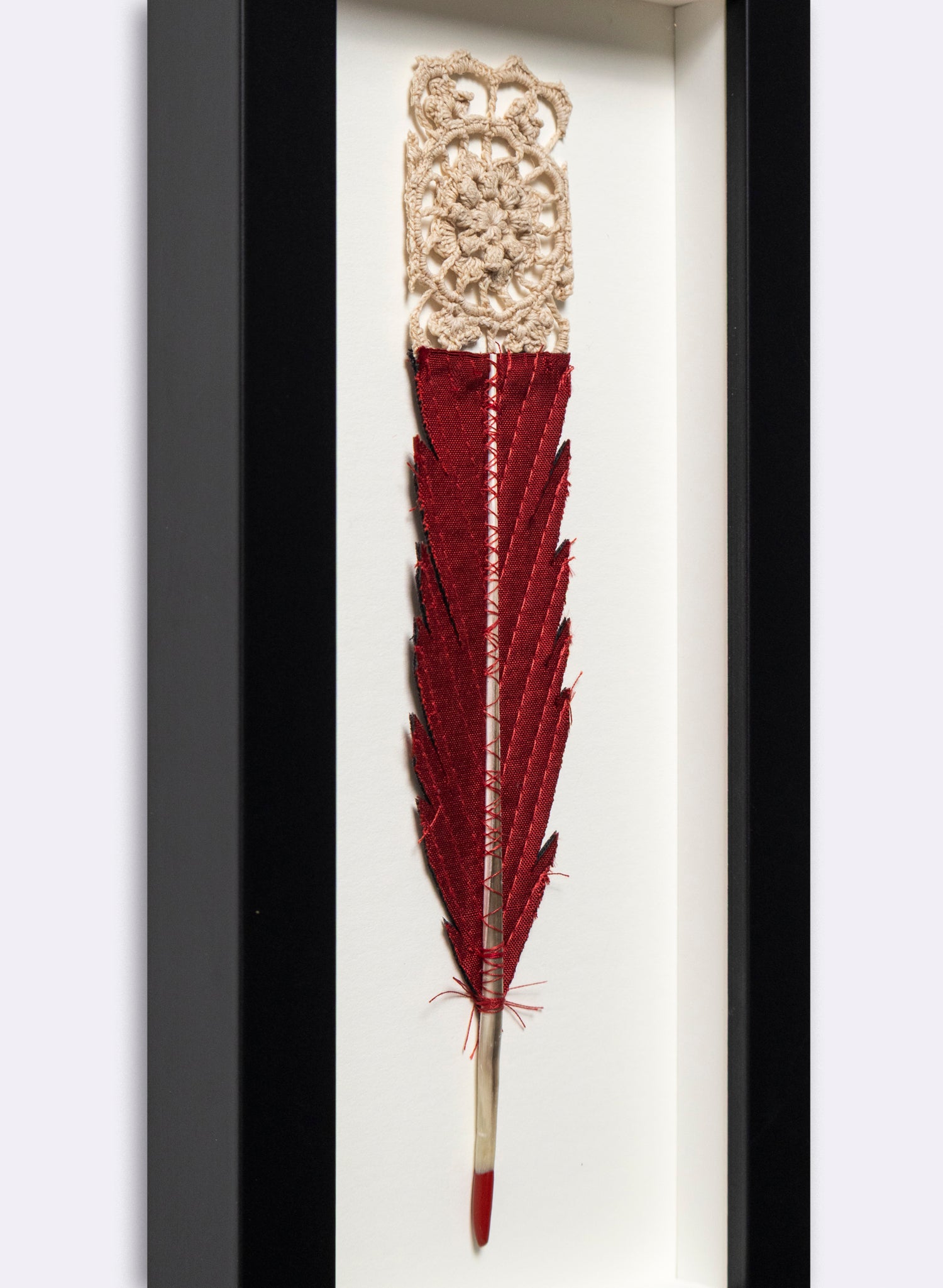 Single Huia Feather Framed