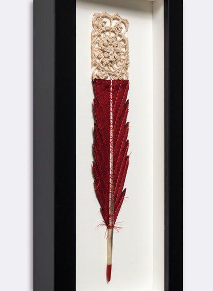 Single Huia Feather Framed