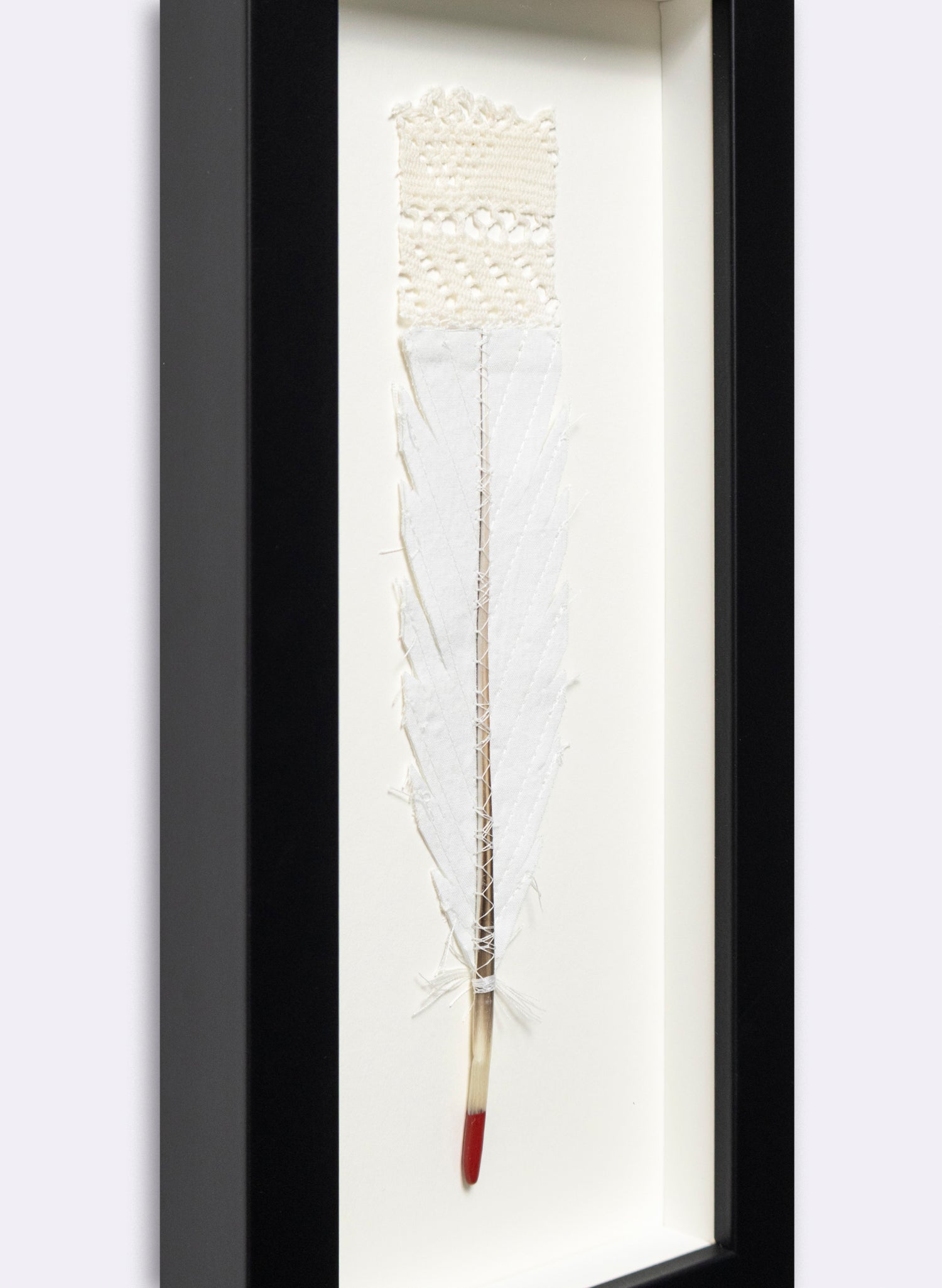 Single Huia Feather Framed