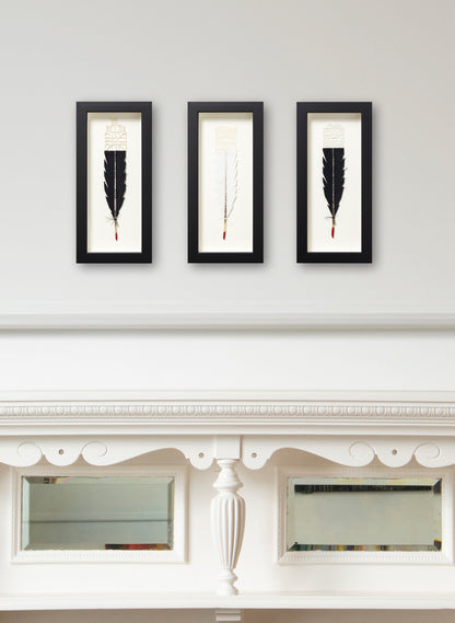 Single Huia Feather Framed