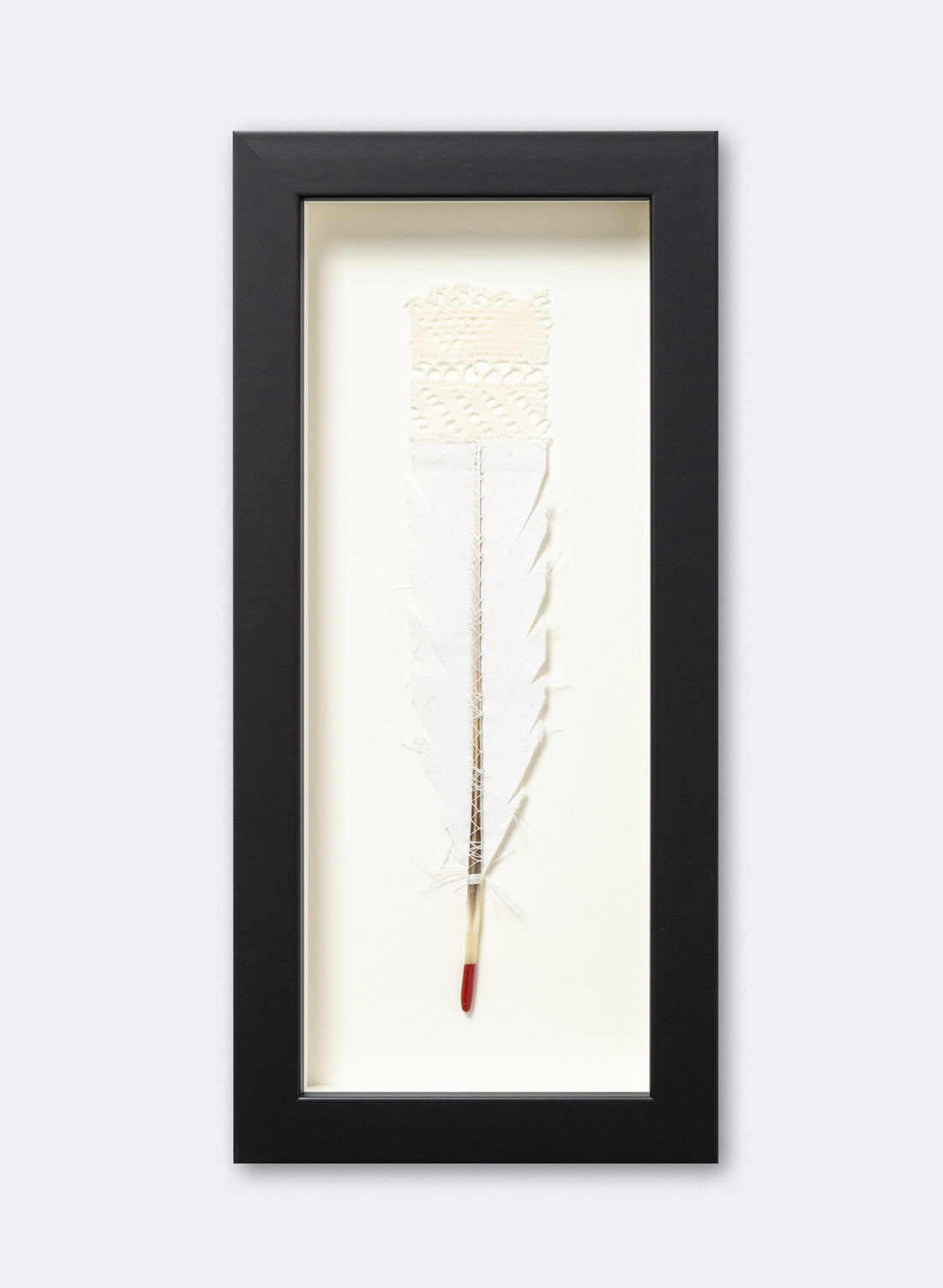 Single Huia Feather Framed