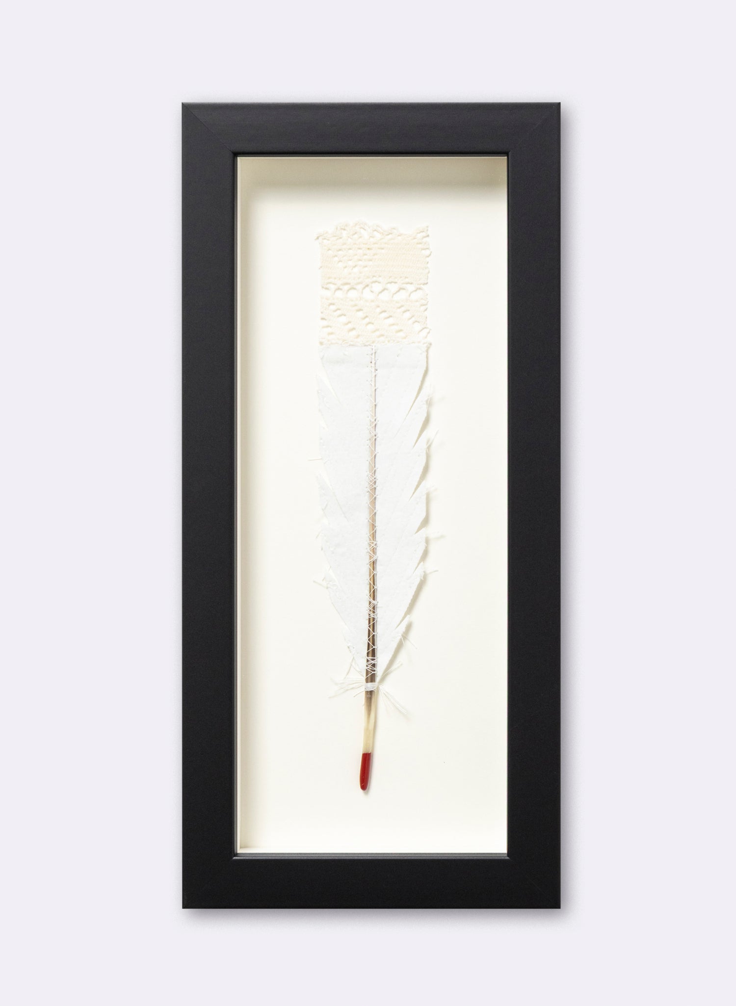 Single Huia Feather Framed