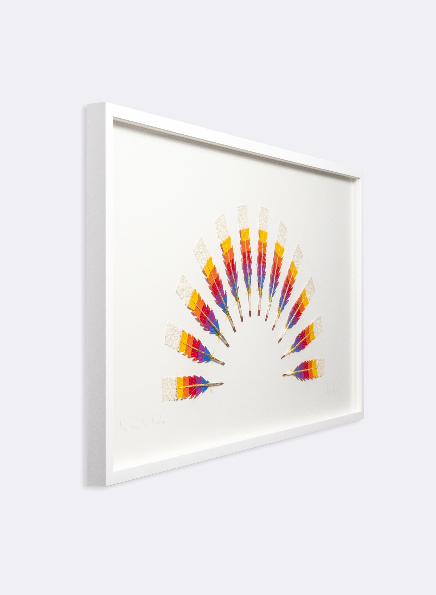 No Rain, No Rainbow - Huia Feathers Framed