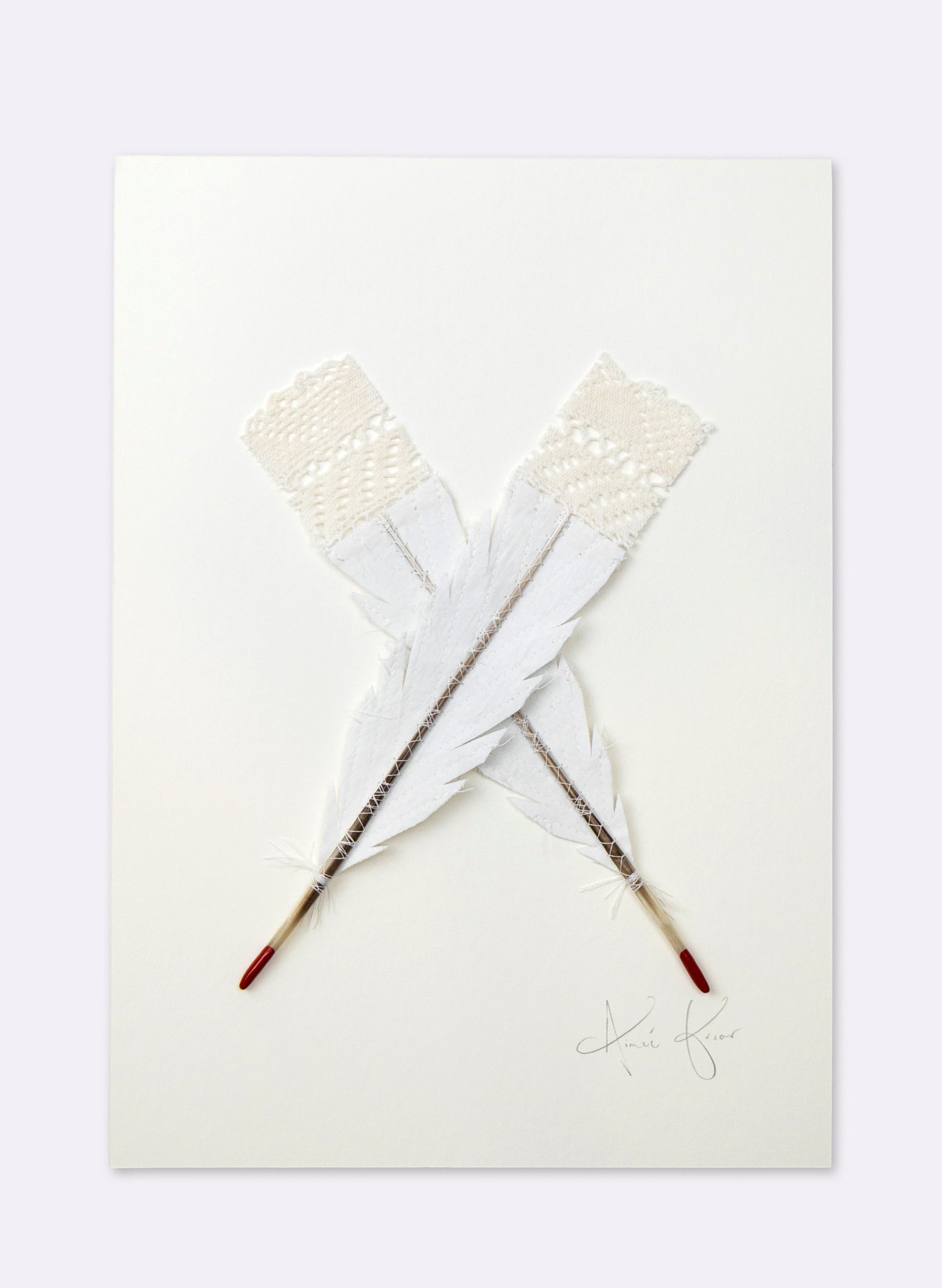 Single X Huia Feather Framed