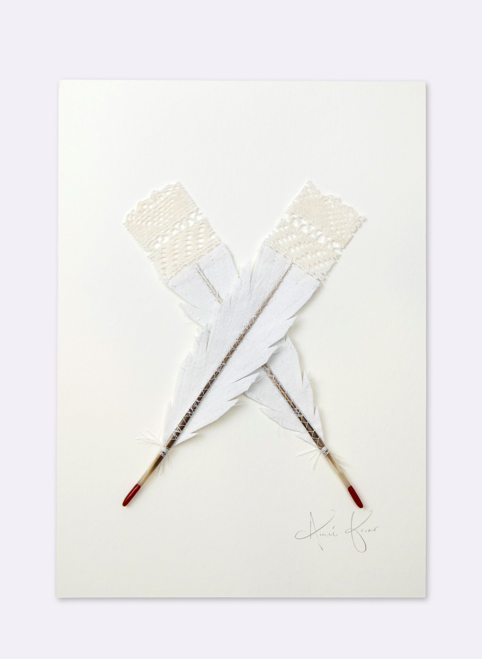 Single X Huia Feather Framed