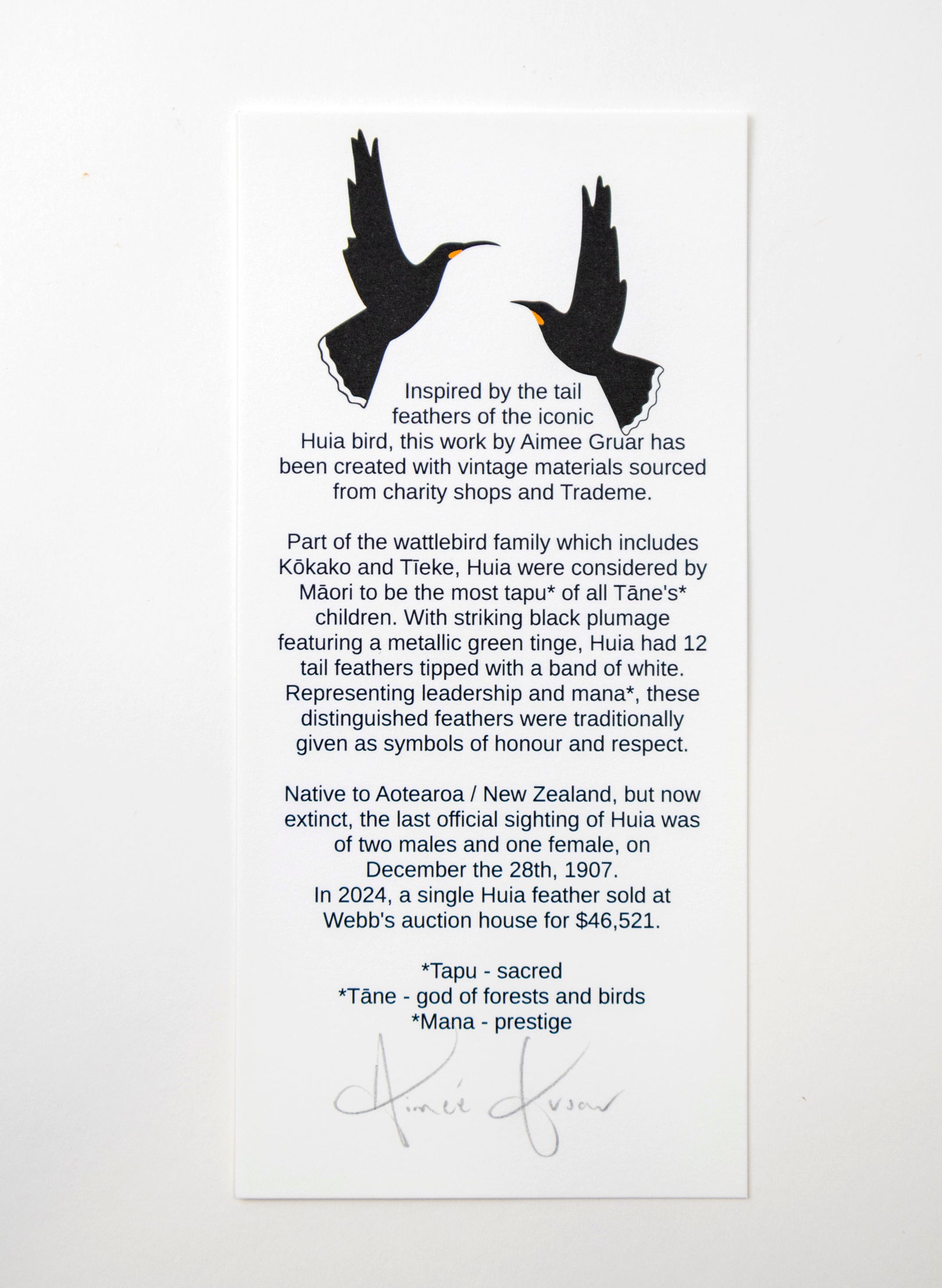 Single X Huia Feather Framed