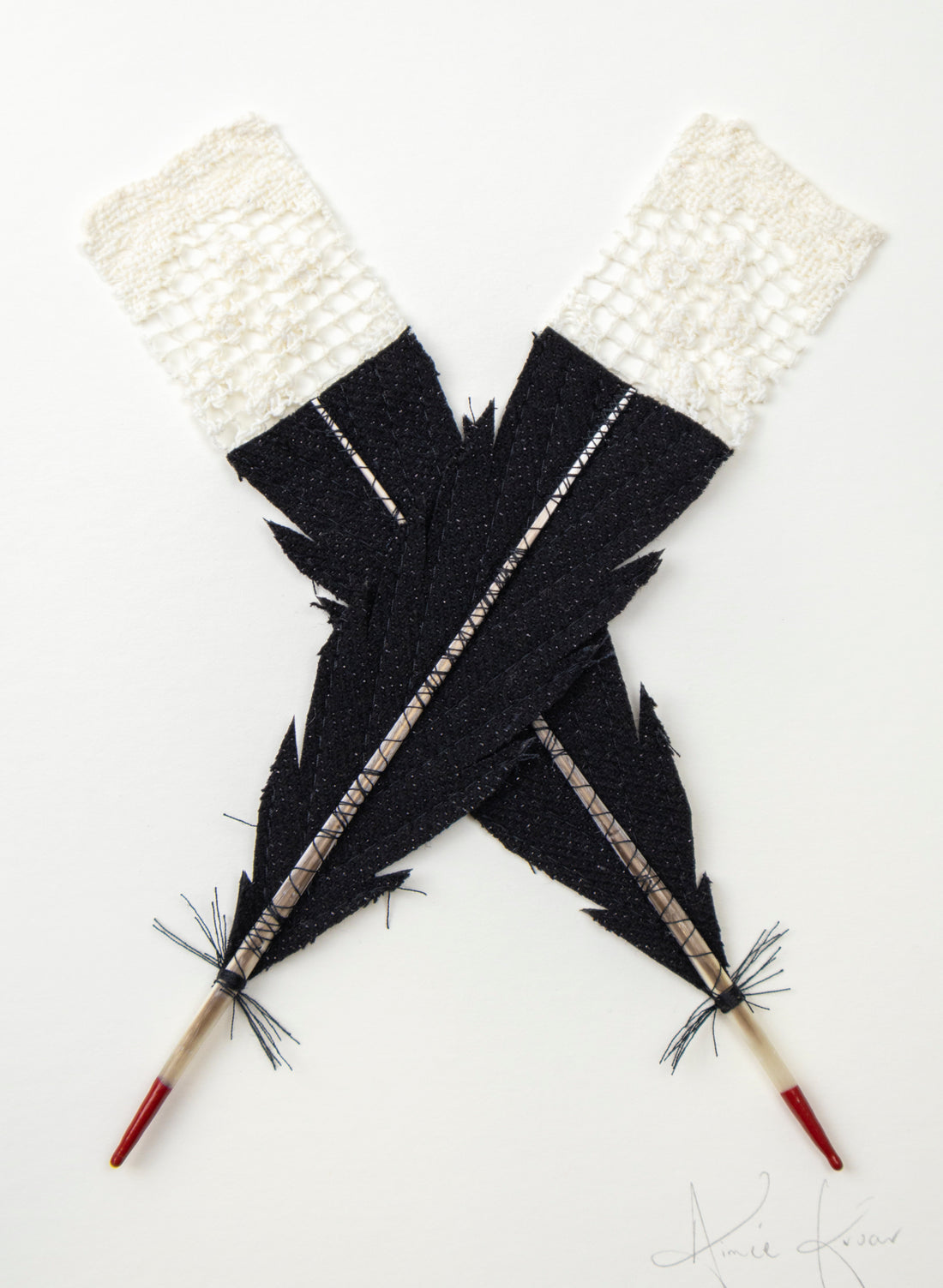 Single X Huia Feather Framed