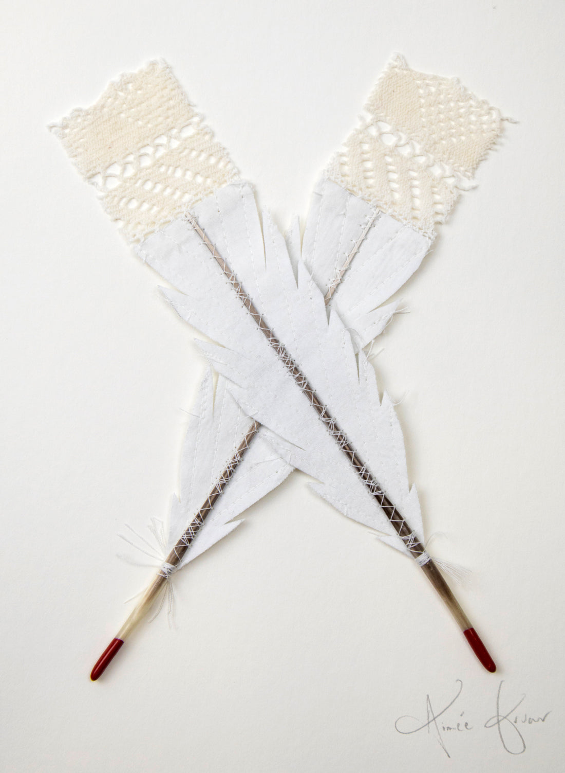 Single X Huia Feather Framed