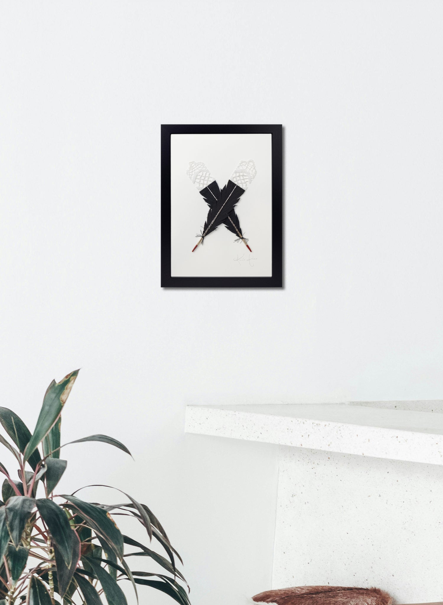 Single X Huia Feather Framed