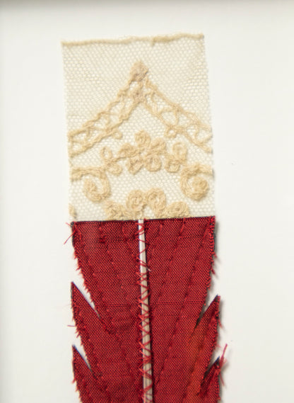 Single Huia Feather Framed