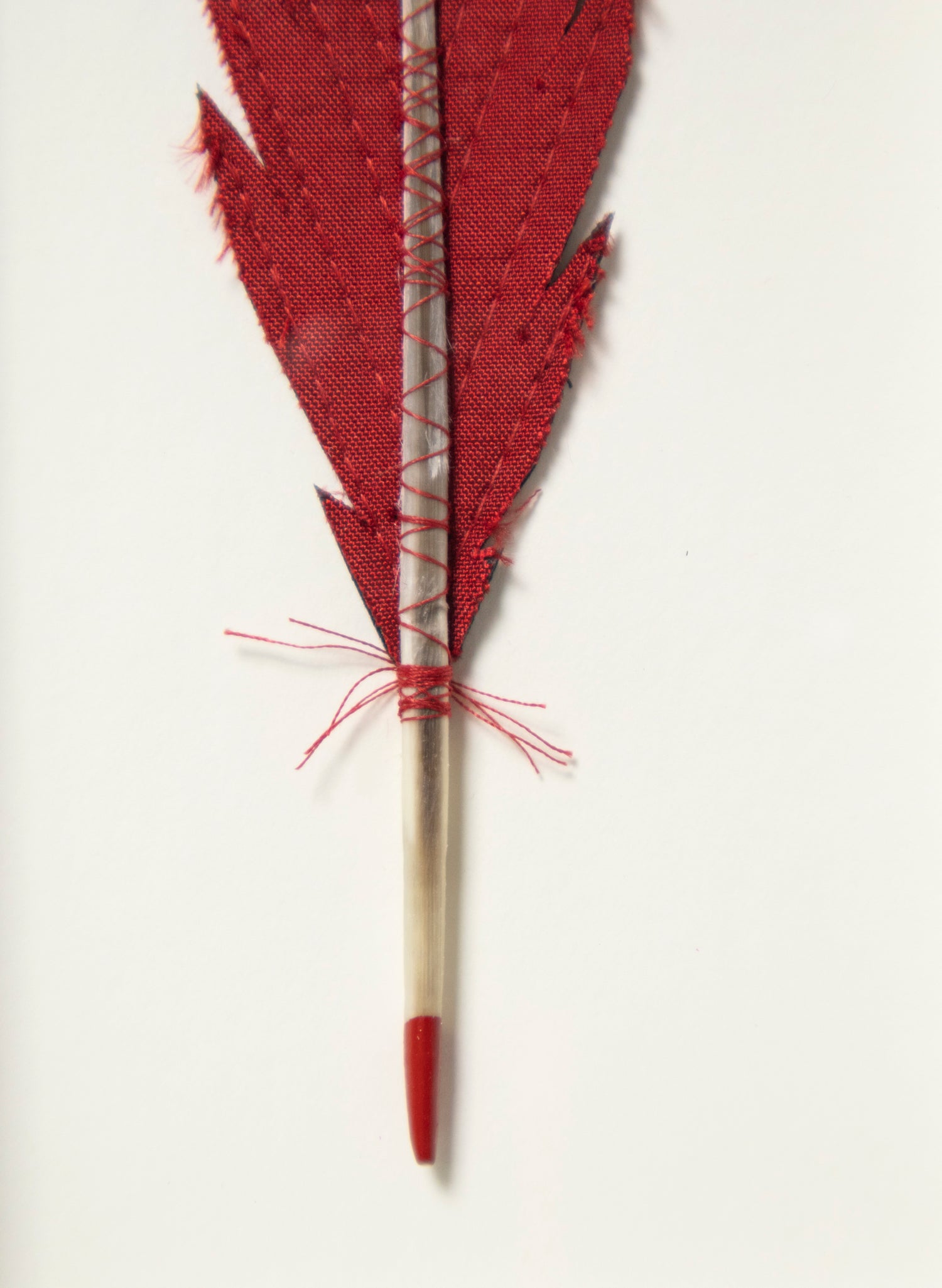 Single Huia Feather Framed