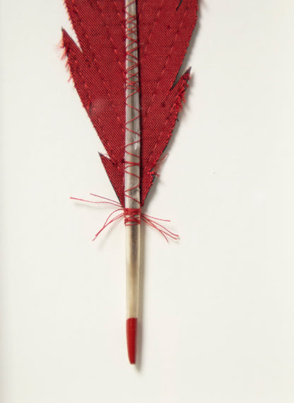 Single Huia Feather Framed