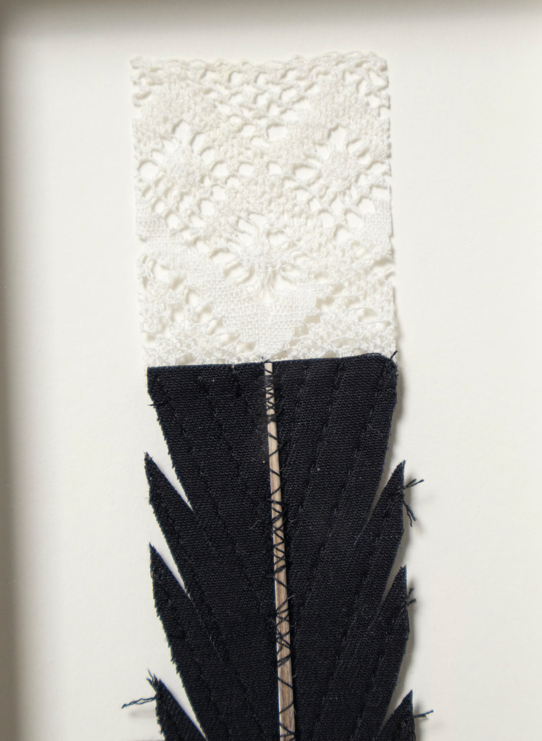 Single Huia Feather Framed