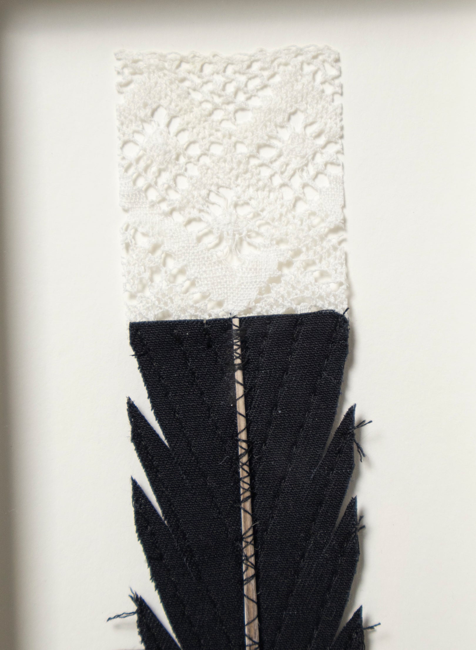 Single Huia Feather Framed