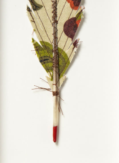 Single Huia Feather Framed