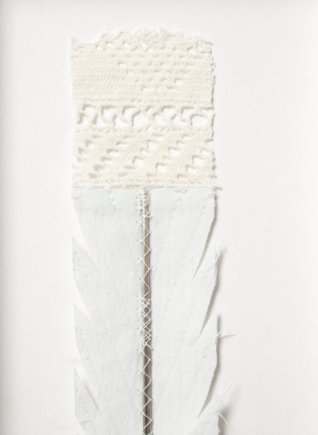 Single Huia Feather Framed