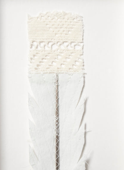 Single Huia Feather Framed