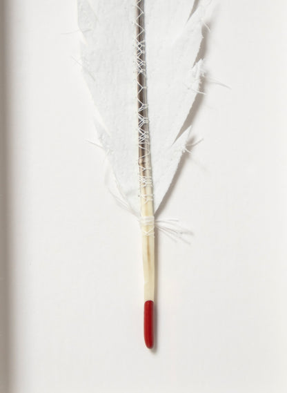 Single Huia Feather Framed