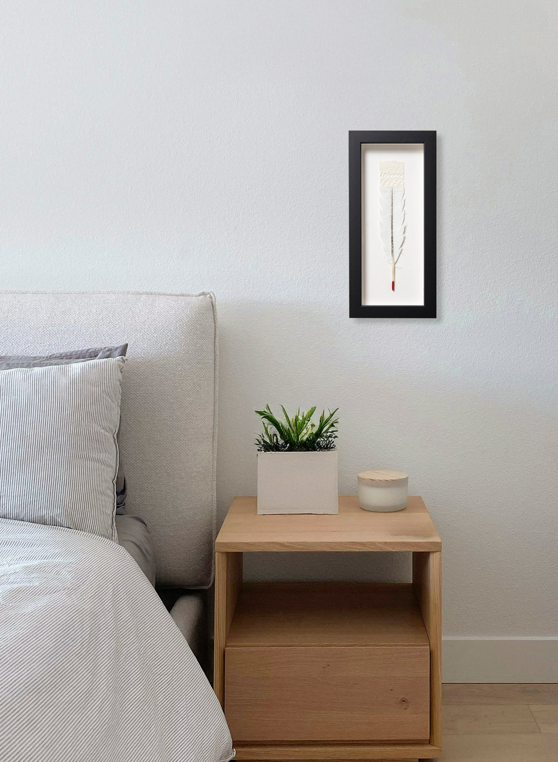 Single Huia Feather Framed