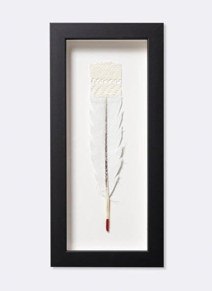 Single Huia Feather Framed