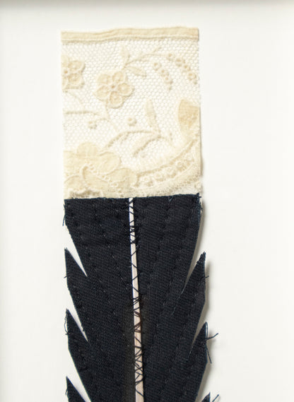 Single Huia Feather Framed